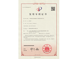 發(fā)明專利1